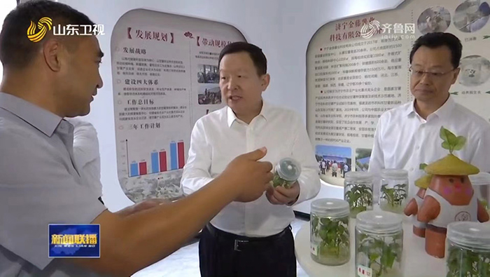 山東省委副書(shū)記、省長(cháng)周乃翔到金藤公司調研汶上縣甘薯產(chǎn)業(yè)發(fā)展情況
