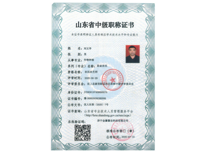 山東省中級職稱(chēng)證書(shū)