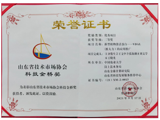 榮譽(yù)證書(shū)