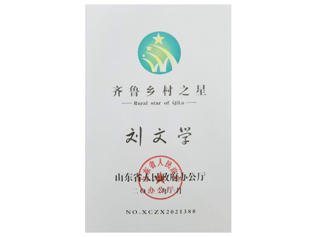 齊魯鄉村之星